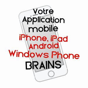 application mobile à BRAINS / LOIRE-ATLANTIQUE