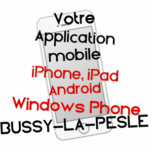 application mobile à BUSSY-LA-PESLE / NIèVRE