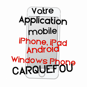 application mobile à CARQUEFOU / LOIRE-ATLANTIQUE