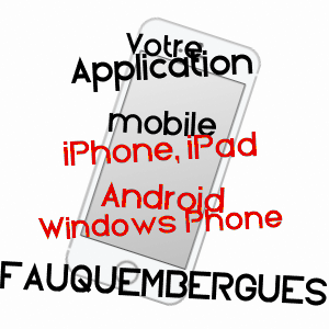 application mobile à FAUQUEMBERGUES / PAS-DE-CALAIS