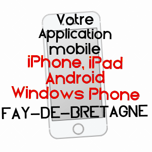 application mobile à FAY-DE-BRETAGNE / LOIRE-ATLANTIQUE