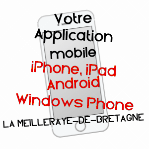 application mobile à LA MEILLERAYE-DE-BRETAGNE / LOIRE-ATLANTIQUE