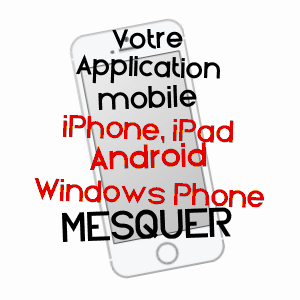 application mobile à MESQUER / LOIRE-ATLANTIQUE