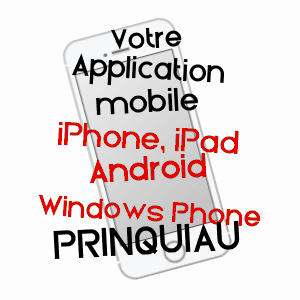 application mobile à PRINQUIAU / LOIRE-ATLANTIQUE