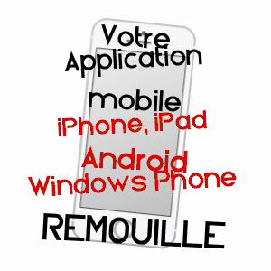 application mobile à REMOUILLé / LOIRE-ATLANTIQUE