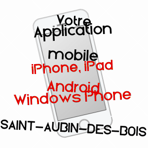 application mobile à SAINT-AUBIN-DES-BOIS / EURE-ET-LOIR