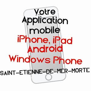 application mobile à SAINT-ETIENNE-DE-MER-MORTE / LOIRE-ATLANTIQUE