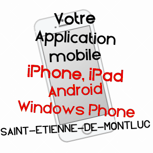 application mobile à SAINT-ETIENNE-DE-MONTLUC / LOIRE-ATLANTIQUE