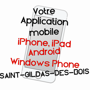 application mobile à SAINT-GILDAS-DES-BOIS / LOIRE-ATLANTIQUE